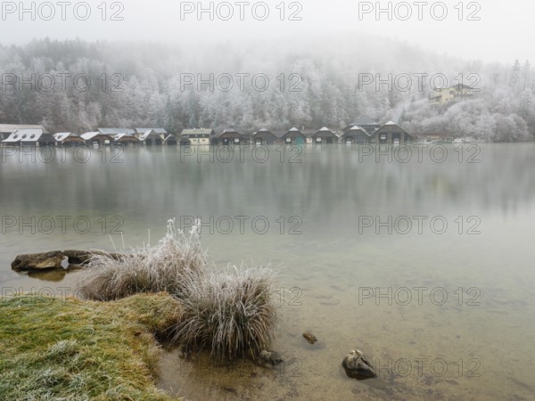 View across Königssee to boathouses and frozen trees in fog, Schönau am Königssee, Berchtesgadener