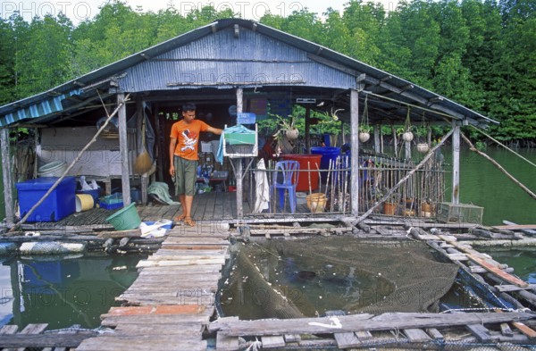Young man, fish farm in the tidal river near Krabbi, two years in front of the tsunami, Thailand,