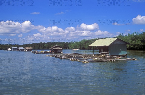 Fish farms in the tidal river near Krabbi, two years in front of the tsunami, Thailand, December
