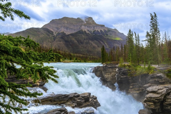 Athabasca falls cascades powerfully through a scenic gorge in jasper national park, alberta,