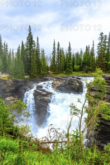 Powerful athabasca falls cascades over rocky cliffs in jasper national park, alberta, canada,
