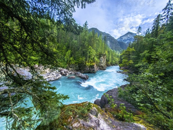 The turquoise water of the fraser river flows through a lush green forest, framed by majestic