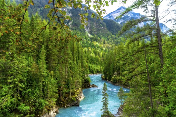 Turquoise water flows through a canyon surrounded by a lush green forest with mountains in the