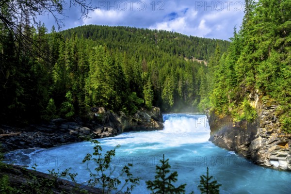 Flowing turquoise water of the fraser river winds through a lush green forest toward overlander