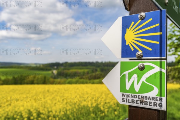 Hiking trail of the Silberberg Way of St. James and the Wanderbarer Silberberg circular trail, in