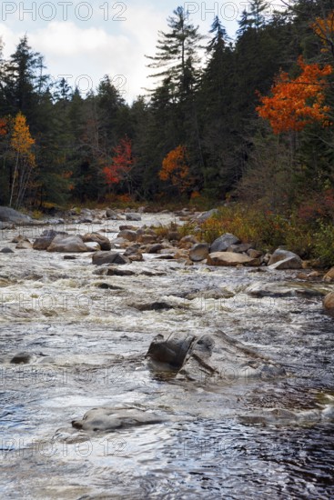Rapids, Rocky Gorge, Swift River, River Landscape near Albany, Autumn Leaves, Indian Summer, White