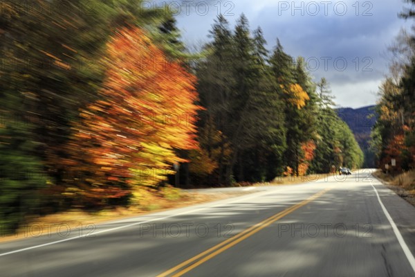 Country road through forest, autumn leaves, Indian summer, sunny fall weather, smudge effect, blur,
