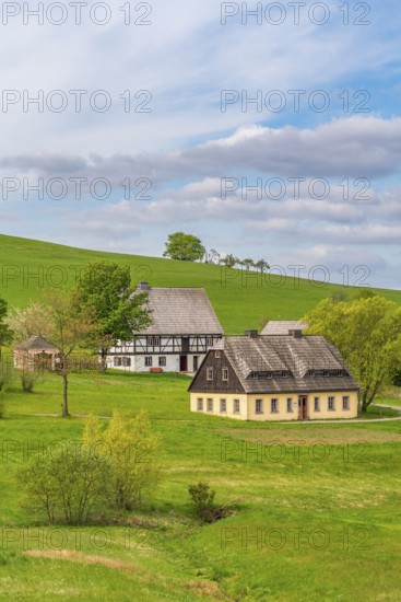 Historic houses with half-timbered timber and shingles under trees in the Seiffen open-air museum,