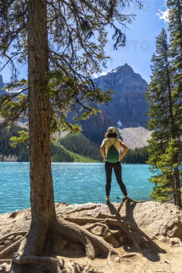 Female tourist standing by a pine tree, admiring the turquoise waters of moraine lake and the