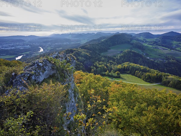 View from the Gisliflue of an autumnal forest with the Jura foothills behind, Talheim, Canton of