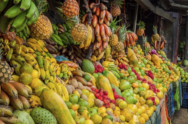 Shelf of many fresh fruits, fresh fruit stall, concept of fruits and healthy food, sale of various