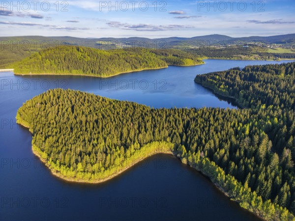 Aerial view, drone photo: spruce forest and beech trees at the Eibenstock drinking water reservoir,
