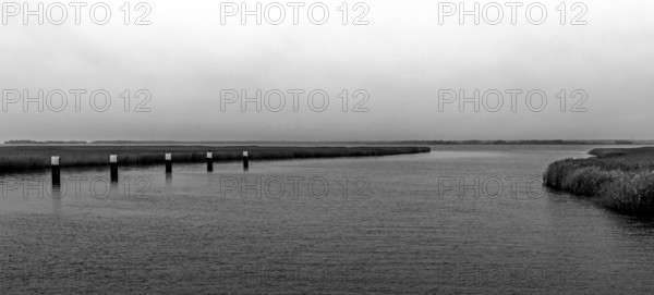 Lagoon landscape at the Meinigenbrücke near Zingst, black and white photo, panorama,