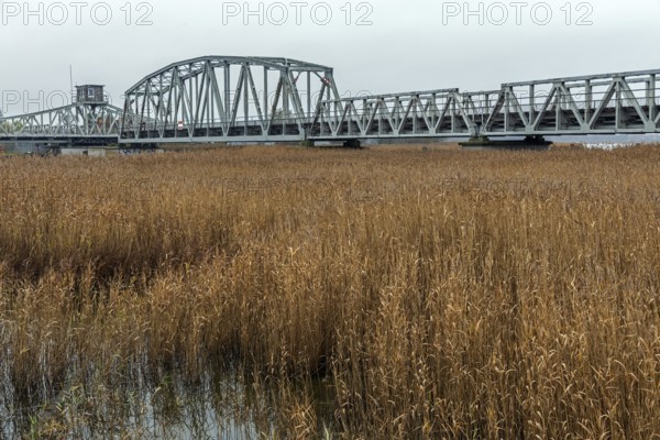 Meiningenbrücke, connection on Fischland-Darß-Zingst, Vorpommersche Boddenlandschaft National Park,
