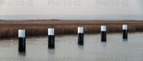Lagoon area at the Meinigenbrücke near Zingst, panorama, Fischland-Darß-Zingst, Western Pomerania