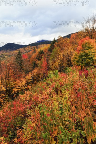 Scenic View, Fall Leaves, Indian Summer, Sugar Hill Observation Deck, Kancamagus Highway, White