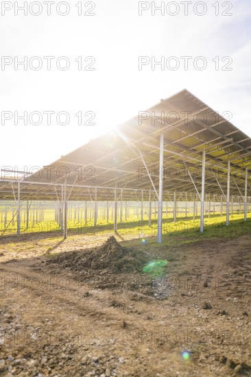 Underside of a solar panel with intense sunlight over a field, Energiewende, construction of PV