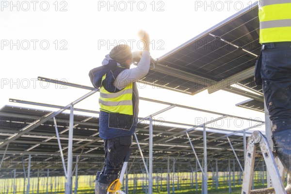 Worker installing solar panels in sunlight on metal frame, Energiewende, construction of PV open