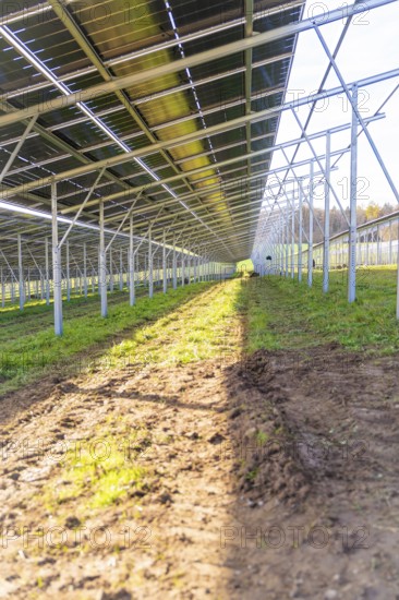 Sunlight floods the ground under solar modules, Energiewende, construction of PV open space,