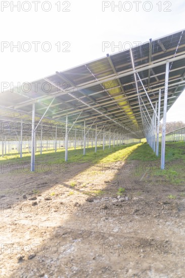 Underside of solar modules with sunlight, Energiewende, construction of PV open space,