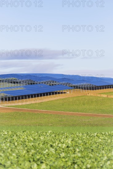 Solar panels in a large field under blue sky, Energiewende, construction of PV open space,