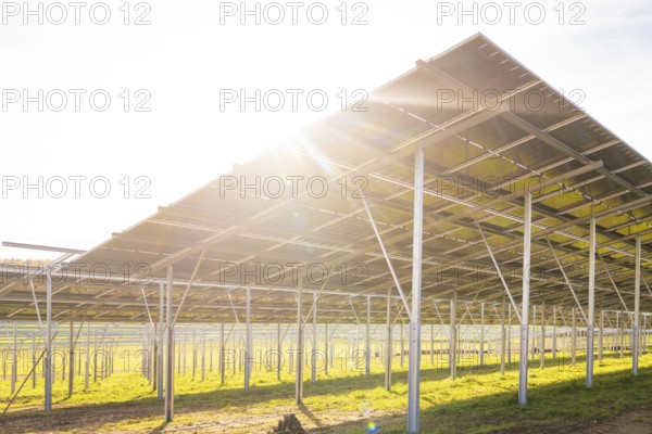 Side view of solar panel structure in strong sunshine on green field, Energiewende, construction of
