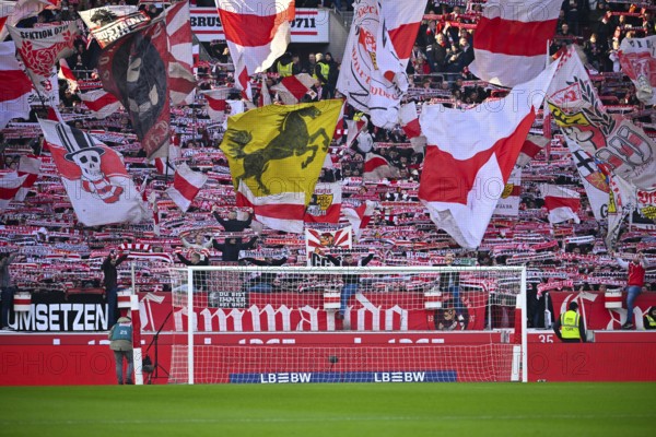 Cannstatter Kurve, VfB Stuttgart, fan block, fans, fan curve, flags, atmosphere, atmospheric,