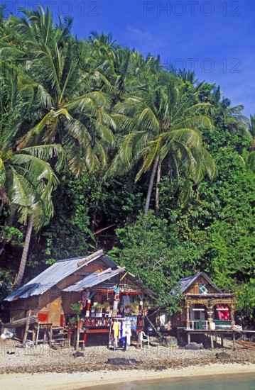 Bamboo huts under palm trees on Ko Phi Phi Don beach, two years in front of the tsunami, Thailand,