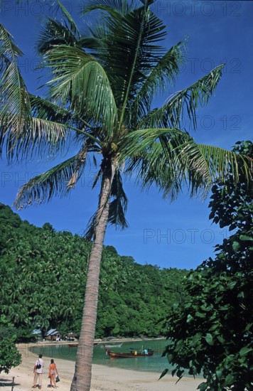 People, palm tree on the beach of Ko Phi Phi Don, two years in front of the tsunami, Thailand,