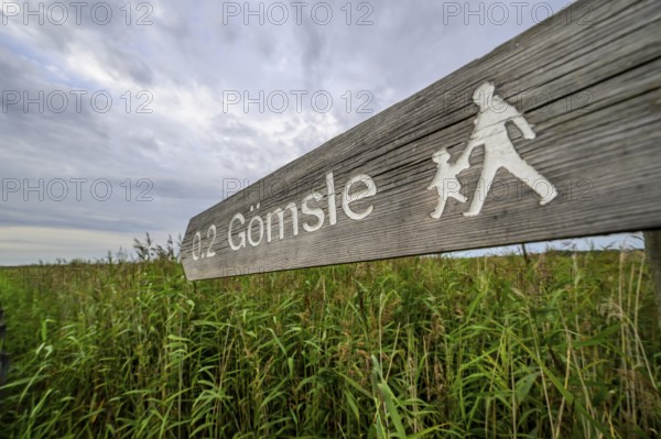 Wooden signpost shows a hiking trail through the reed areas, Tåkern, Vadstena, Östergötalands Län,