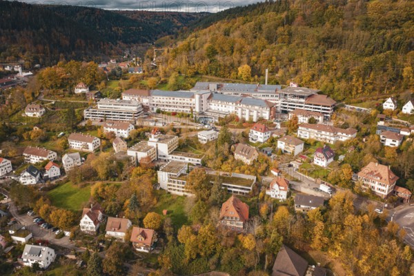 Town in autumn landscape with buildings and trees surrounded by hills and cloudy sky, Altes