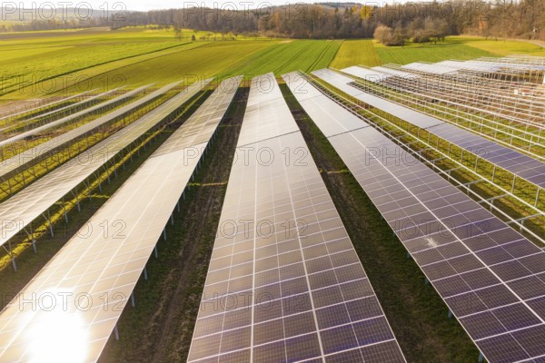Consistent rows of solar panels on green land for energy generation, energy transition,