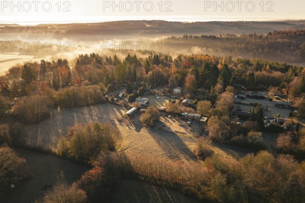 Foggy autumn landscape with village surrounded by trees and fields at sunrise, Gechingen, Calw