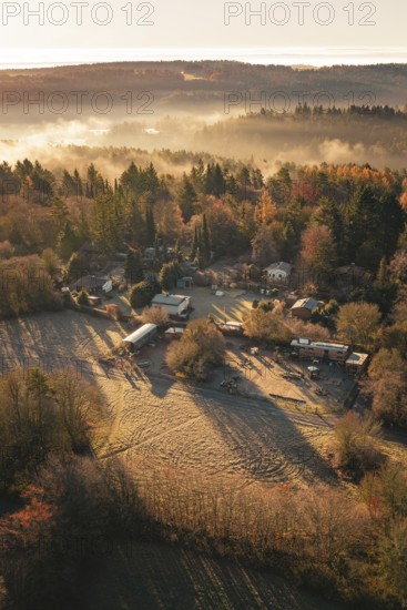Village and surrounding fields in morning fog surrounded by trees at sunrise, Gechingen, Calw