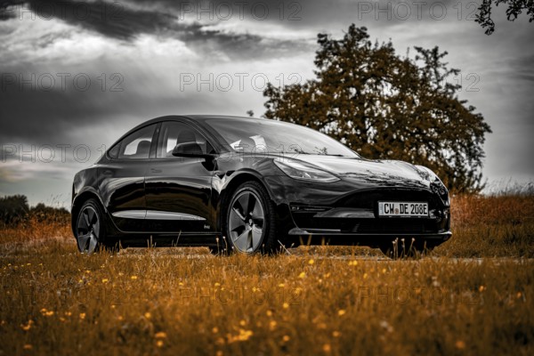 Black car parked on country road, dramatic clouds in the sky surrounded by meadows, Deer