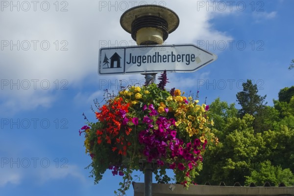 Flower decoration on street lamp, colorful blossoms, light, signpost, youth hostel, lettering,