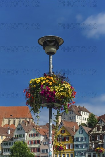 Flower decoration on street lamp, colorful blossoms, light, on the Neckar, historic old town