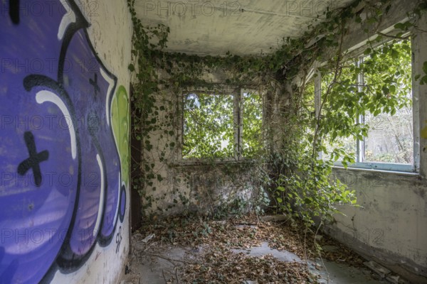Room with gravity and overgrown with plants, dilapidated plant of a former agricultural production