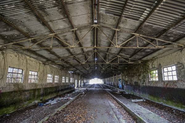 Abandoned hall with Grafity, dilapidated plant of a former agricultural production cooperative of
