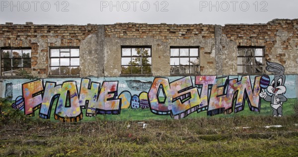 Dilapidated hall with gravity of the dilapidated plant of a former agricultural production