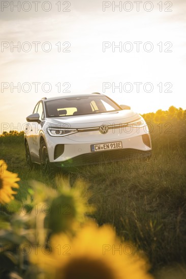 A white car is parked in a meadow near sunflowers at sunset, VW ID4 electric car, Deer Carsharing,
