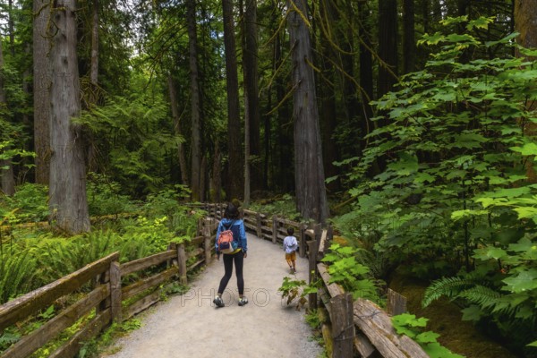 Tourists enjoying a leisurely walk along the scenic path in cathedral grove, a majestic old growth