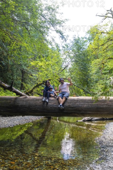 Tourists sitting on a large fallen tree trunk spanning a shallow river in a lush green forest,