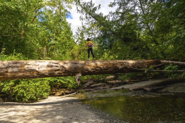 Female hiker balancing on a large fallen tree trunk spanning a shallow river in a lush green