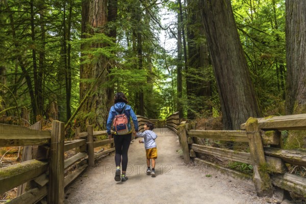 Mother and son holding hands while walking down a wooden trail in a majestic redwood forest,