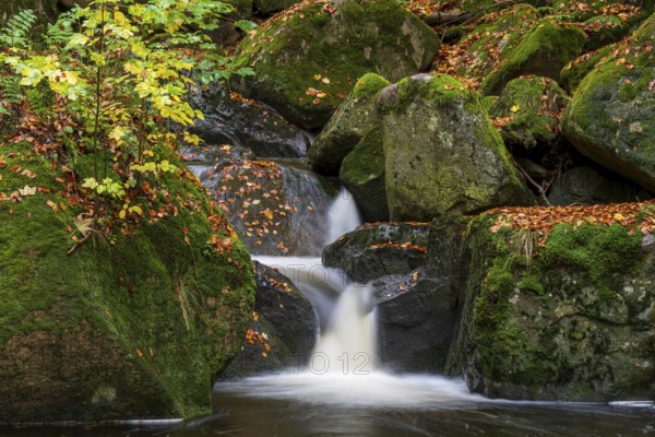 Water from the Ilse flows over mossy rocks in a picturesque forest, surrounded by autumn colors,