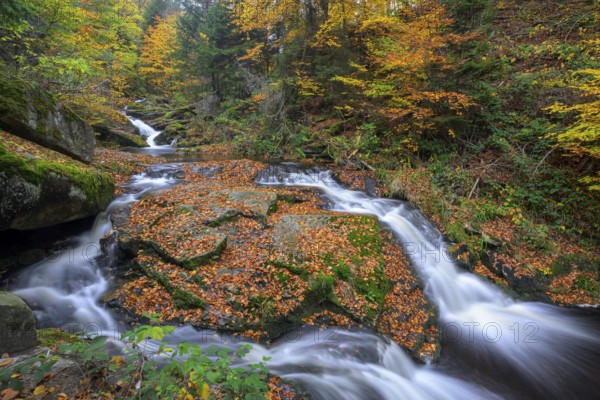 Several Ilse waterfalls cascade through an autumnal forest, Ilsetal, Harz National Park, Ilsenburg,