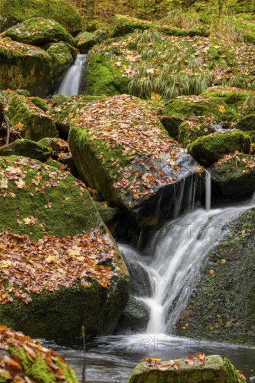 An Ilse waterfall pours over mossy rocks covered with autumn leaves, Ilse Valley, Harz National