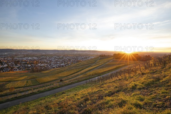 The vineyards in the Remstal near Korb in the Rems-Murr district show all their colors in autumn.