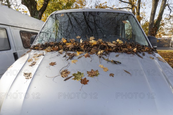 A car parked in a parking lot in Germany is completely covered with autumn leaves at the front. The